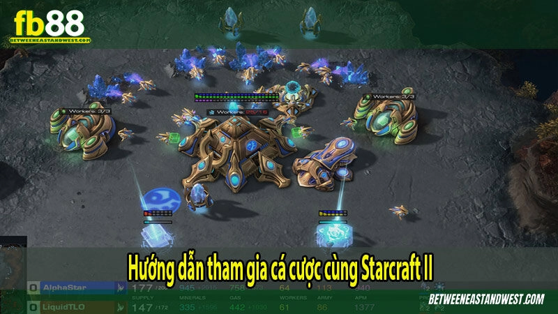 Hướng dẫn tham gia cá cược cùng Starcraft II