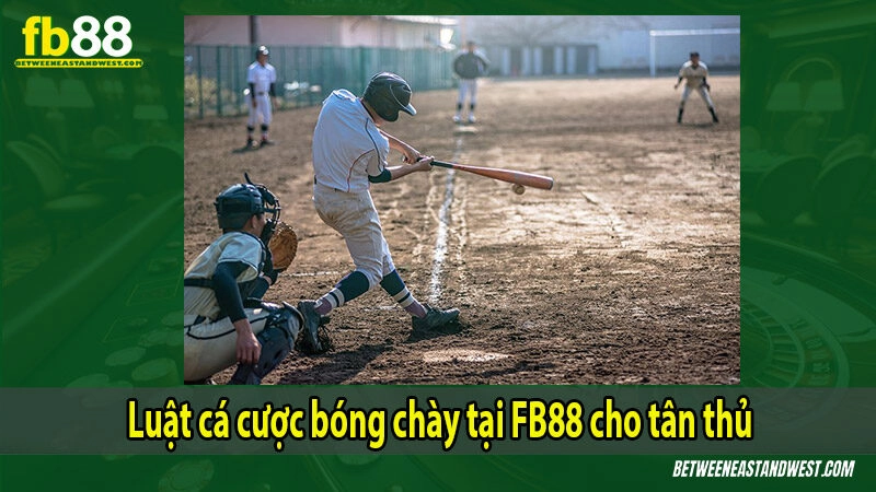 Luật cá cược bóng chày tại FB88 cho tân thủ