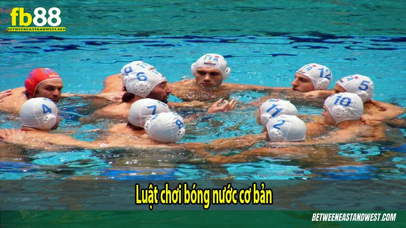 Luật chơi bóng nước cơ bản