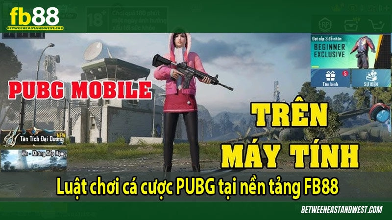 Luật chơi cá cược PUBG tại nền tảng FB88