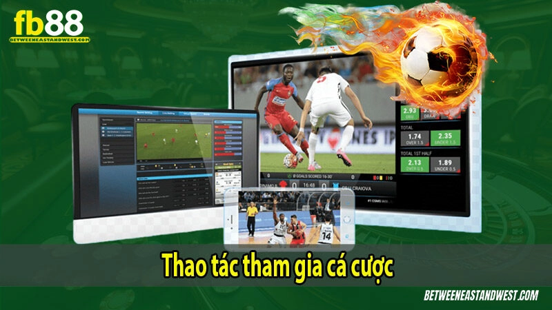 Thao tác tham gia cá cược 