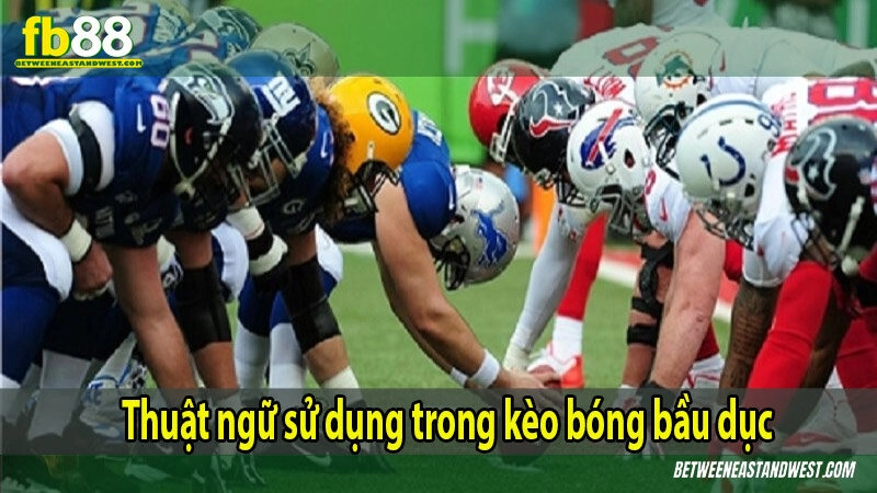 Thuật ngữ sử dụng trong kèo bóng bầu dục