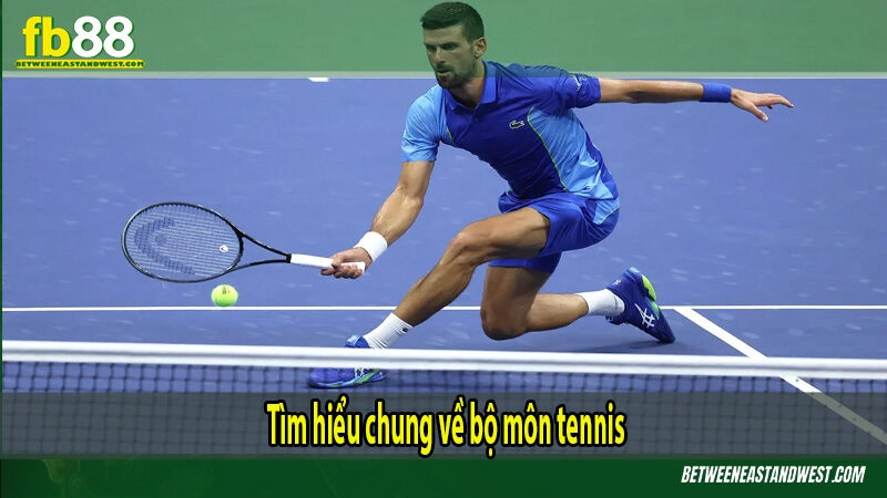 Tìm hiểu chung về bộ môn tennis