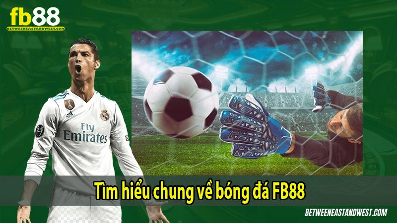 Tìm hiểu chung về bóng đá FB88