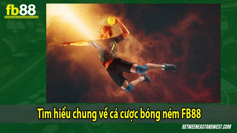 Tìm hiểu chung về cá cược bóng ném FB88