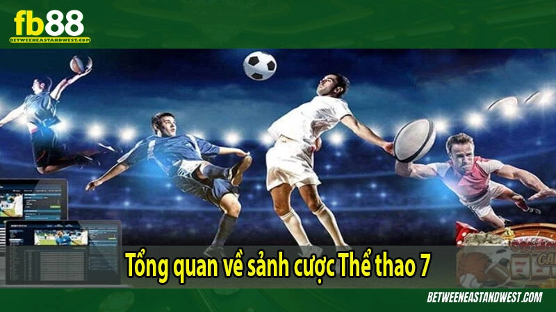 Tổng quan về sảnh cược Thể thao 7